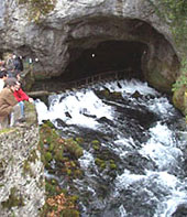 photo de r&eacute;surgence