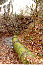 &eacute;gout se jettant directement dans un chantoir