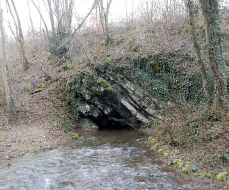 r&eacute;surgence de l'Isbelle